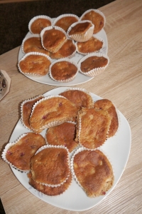 Rhabarber Muffins